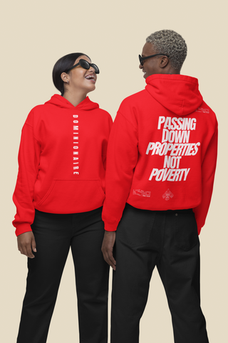 PASSING DOWN PROPERTIES NOT POVERTY HOODIE